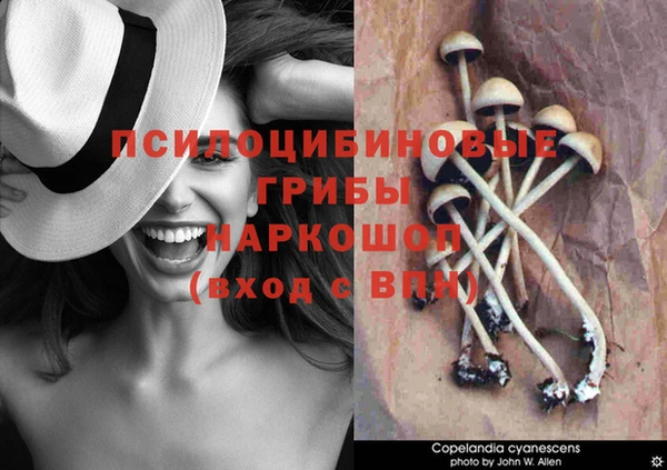 гидропоника Беломорск