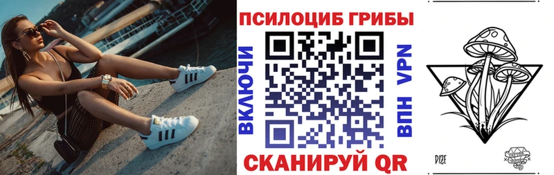 Купить закладки  Норильск  Псилоцибиновые грибы MAGIC MUSHROOMS 