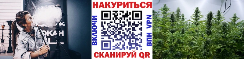 Шишки марихуана OG Kush  Купить где  Норильск 
